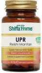 reishi mushroom