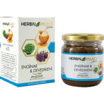 Herbal Palace Enginar Devedikeni Macunu 230gr